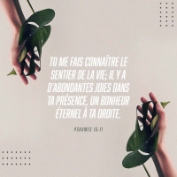 PSAUMES 16