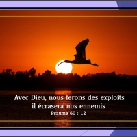 IL EST ECRIT, sur la CRTV station régionale de l'Ouest , Edition du samedi 25 nov2023