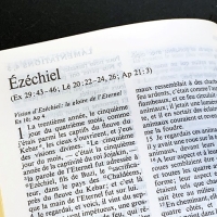 Ezéchiel 43